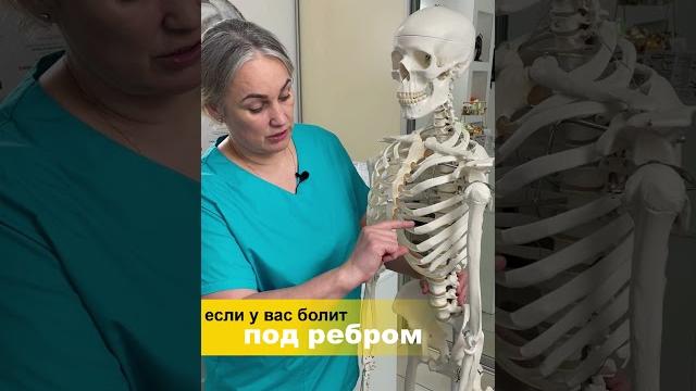Если у вас болит под ребром... Если у вас болит под ребром...
