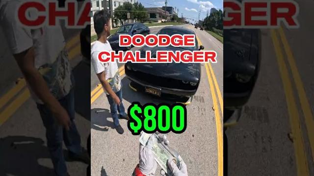 DOODGE CHALLENGER #carhauler #cdl #truckdriver #кархолер #доставкаавто #автомобили #работавсша DOODGE CHALLENGER #carhauler #cdl #truckdriver #кархолер #доставкаавто #автомобили #работавсша