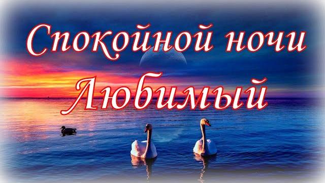 Спокойной ночи Любимый Спокойной ночи Любимый