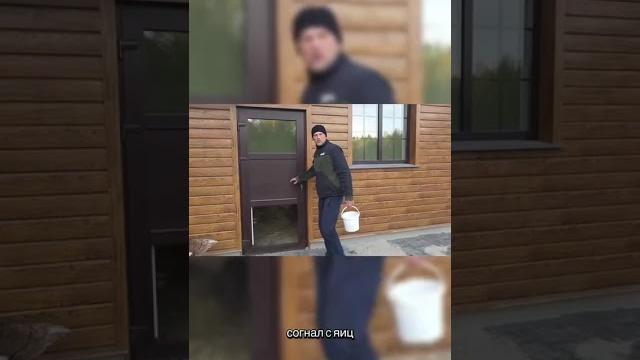 Видео с тик ток аккаунта "Черничники" Видео с тик ток аккаунта "Черничники"