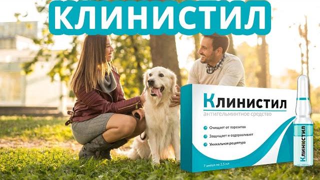 Как принимать Клинистил взрослым Как принимать Клинистил взрослым
