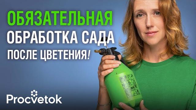 ПОСЛЕ ЦВЕТЕНИЯ ВСЕМ ДЕРЕВЬЯМ ОБЯЗАТЕЛЬНО дайте такую подкормку и обработку от болезней и вредителей ПОСЛЕ ЦВЕТЕНИЯ ВСЕМ ДЕРЕВЬЯМ ОБЯЗАТЕЛЬНО дайте такую подкормку и обработку от болезней и вредителей