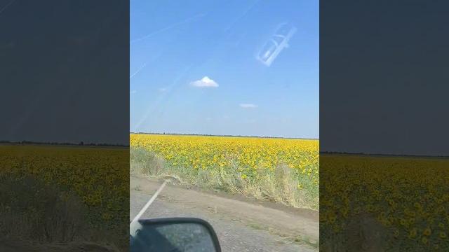 Мы уже приехали? Мы уже приехали?