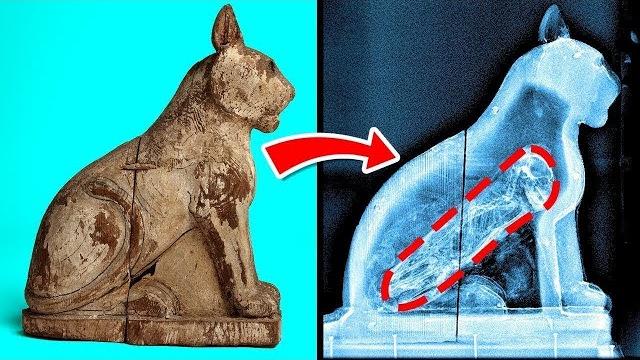 Находки Из Египта, Которые Напугали Учёных Находки Из Египта, Которые Напугали Учёных