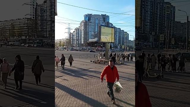 Приморский район Приморский район