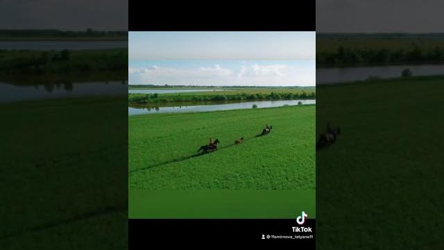 Лошади скачут по полям. Очень красивое видео с лошадьми. Красивая музыка. Бескрайнее зелёное поле. Лошади скачут по полям. Очень красивое видео с лошадьми. Красивая музыка. Бескрайнее зелёное поле.