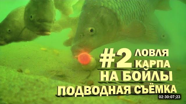 Ловля карпа на бойлы # 2 подводная съёмка (Видео 4К) Ловля карпа на бойлы # 2 подводная съёмка (Видео 4К)