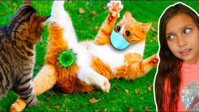 СМЕШНЫЕ КОТЫ на КАРАНТИНЕ! СОБАКИ. СИДИМ ДОМА! НЕ ЗАСМЕЙСЯ ЧЕЛЛЕНДЖ! Funny Cats Реакции Валеришка СМЕШНЫЕ КОТЫ на КАРАНТИНЕ! СОБАКИ. СИДИМ ДОМА! НЕ ЗАСМЕЙСЯ ЧЕЛЛЕНДЖ! Funny Cats Реакции Валеришка