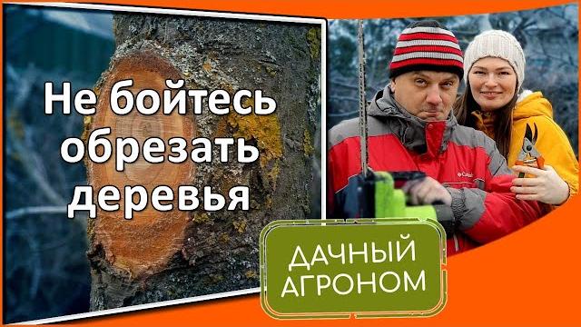 Наверное самое простое видео про обрезку сада! Правила обрезки плодовых деревьев для начинающих Наверное самое простое видео про обрезку сада! Правила обрезки плодовых деревьев для начинающих