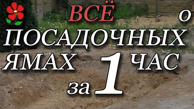 Всё о посадочных ямах и процессе посадке растений в грунт. Полная инструкция с разъяснениями. Всё о посадочных ямах и процессе посадке растений в грунт. Полная инструкция с разъяснениями.