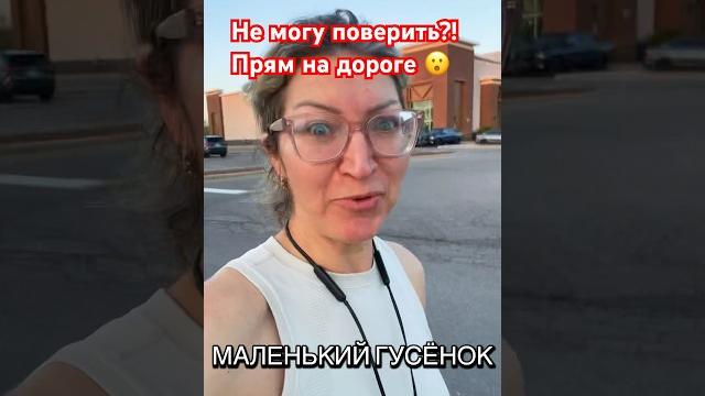 Невероятно!Гусь на дороге #shorts #viralvideo #canada #funnyanimals #юмор #прикол #смешно #гусь Невероятно!Гусь на дороге #shorts #viralvideo #canada #funnyanimals #юмор #прикол #смешно #гусь