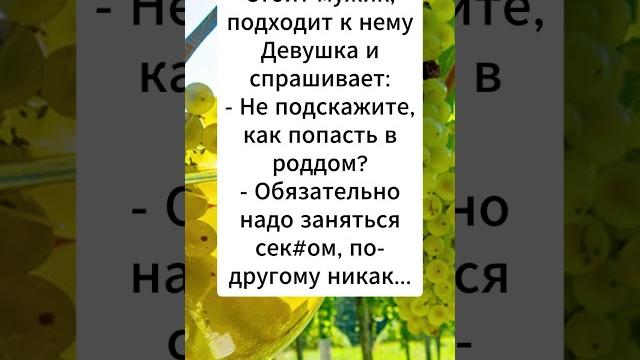 самый лучший наставник самый лучший наставник