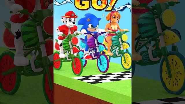 Marshall vs Skye vs Sonic! Who Run Faster? #pawpatrol #gta #animation #funny #tungtungtungsahur Marshall vs Skye vs Sonic! Who Run Faster? #pawpatrol #gta #animation #funny #tungtungtungsahur