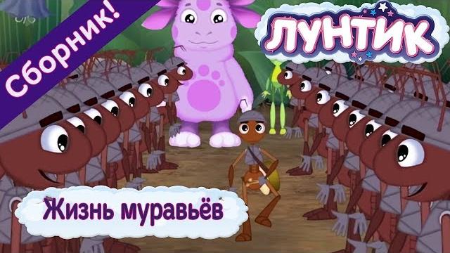 Жизнь муравьёв Лунтик Сборник мультфильмов 2018 Жизнь муравьёв Лунтик Сборник мультфильмов 2018
