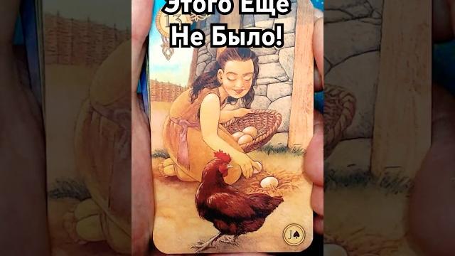 Что Сегодня Скажут Карты? Таро Расклад Что Сегодня Скажут Карты? Таро Расклад