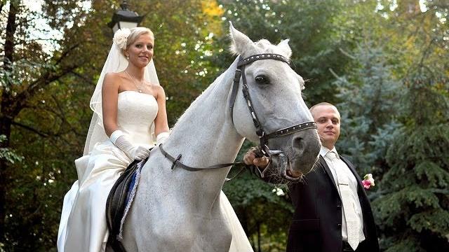 Фото видео на свадьбу Киев недорого +38096-683-6287 ПП Ваня цены свадебная видеосъемка, Киев Фото видео на свадьбу Киев недорого +38096-683-6287 ПП Ваня цены свадебная видеосъемка, Киев