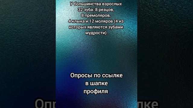 Сколько зубов мудрости может быть у человека? #викторина #вопросы #саморазвитие #опрос #эрудиция Сколько зубов мудрости может быть у человека? #викторина #вопросы #саморазвитие #опрос #эрудиция
