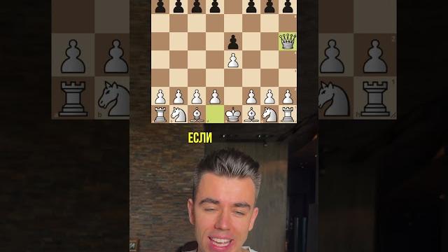 САМЫЙ БЫСТРЫЙ МАТ В ШАХМАТАХ #chess #шахматы САМЫЙ БЫСТРЫЙ МАТ В ШАХМАТАХ #chess #шахматы