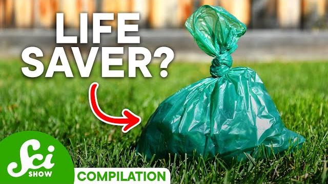 7 Ways That Poop Can Save Lives 7 Ways That Poop Can Save Lives