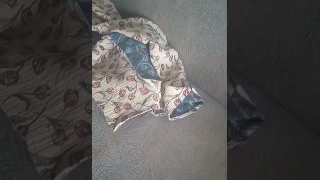 СМЕШНЫЕ ВИДЕО. ПРИКОЛЫ. КОТЕЙКА. смешные видео о кошках смешные видео о животныхприколы с кошками СМЕШНЫЕ ВИДЕО. ПРИКОЛЫ. КОТЕЙКА. смешные видео о кошках смешные видео о животныхприколы с кошками