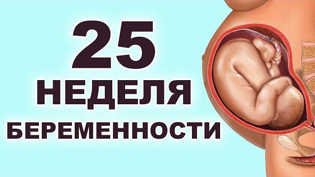 Что происходит с мамой и ребенком на 25 неделе беременности? 6 месяц беременности. Второй триместр. Что происходит с мамой и ребенком на 25 неделе беременности? 6 месяц беременности. Второй триместр.