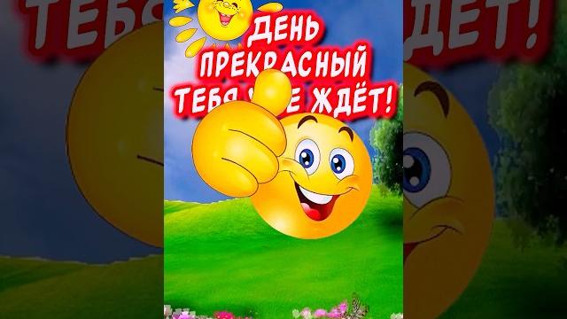 С Добрым Утром и Хорошим Днем️ С Добрым Утром и Хорошим Днем️