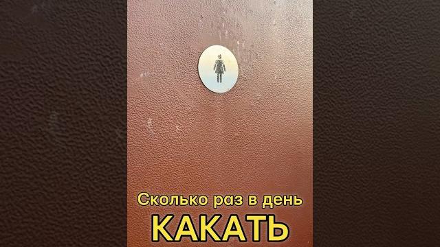 Как часто КАКАТЬ? #здоровье #пищеварение #туалет Как часто КАКАТЬ? #здоровье #пищеварение #туалет