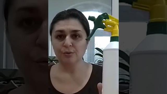 Избавляемся от блох в помещении без ядохимикатов. Избавляемся от блох в помещении без ядохимикатов.