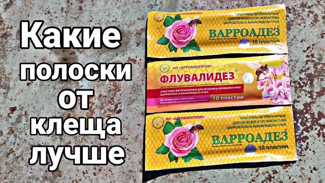 КАКИЕ ПОЛОСКИ ОТ КЛЕЩА ЛУЧШЕ ??? КАКИЕ ПОЛОСКИ ОТ КЛЕЩА ЛУЧШЕ ???