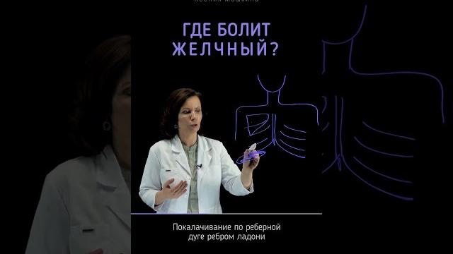 ГДЕ БОЛИТ ЖЕЛЧНЫЙ? ГДЕ БОЛИТ ЖЕЛЧНЫЙ?