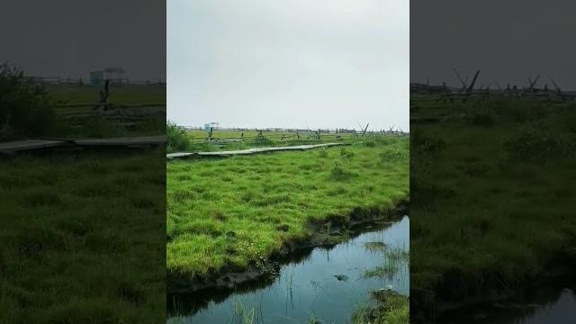 село Сухая #байкал #бурятия #tiktok #shorts #nature #уланудэ #отдых #вайп #location #video село Сухая #байкал #бурятия #tiktok #shorts #nature #уланудэ #отдых #вайп #location #video