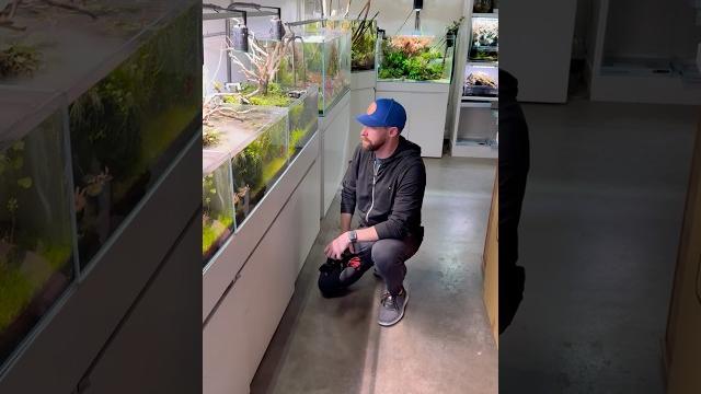 Amazing Aquascaping Inspiration! Amazing Aquascaping Inspiration!