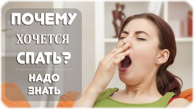 Почему всегда хочется спать? Почему всегда хочется спать?