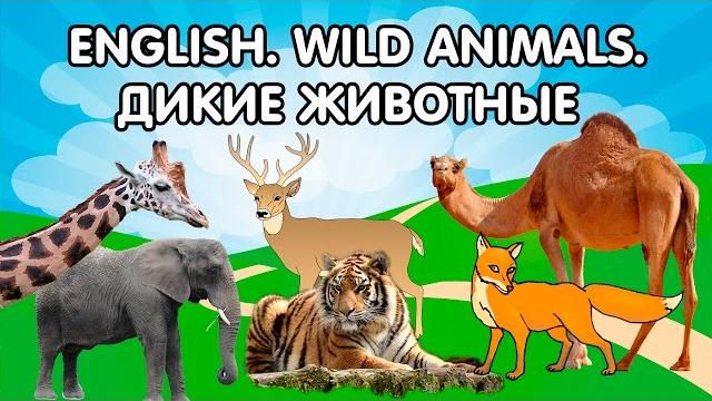 Английский язык для детей. Дикие животные. English for children. Wild animals. Развивающие мультики. Английский язык для детей. Дикие животные. English for children. Wild animals. Развивающие мультики.