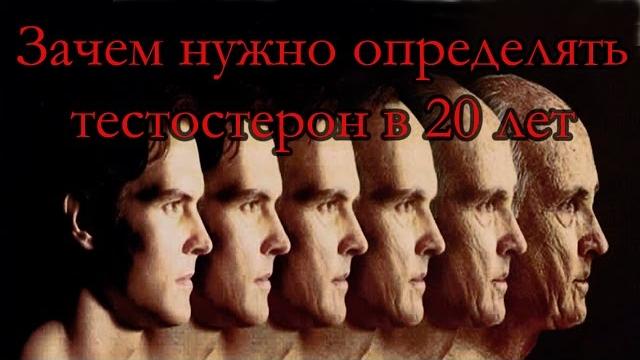 Зачем нужно определить тестостерон в 20 лет Зачем нужно определить тестостерон в 20 лет
