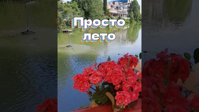 Просто лето #природа Просто лето #природа