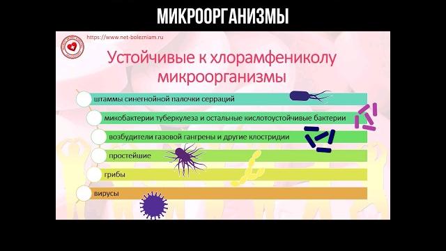 Устойчивые к хлорамфениколу микроорганизмы #хлорамфеникол #бактерии #инфекции #левомицетин Устойчивые к хлорамфениколу микроорганизмы #хлорамфеникол #бактерии #инфекции #левомицетин