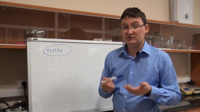 Трансляция. Часть 1. "Общие принципы" Трансляция. Часть 1. "Общие принципы"