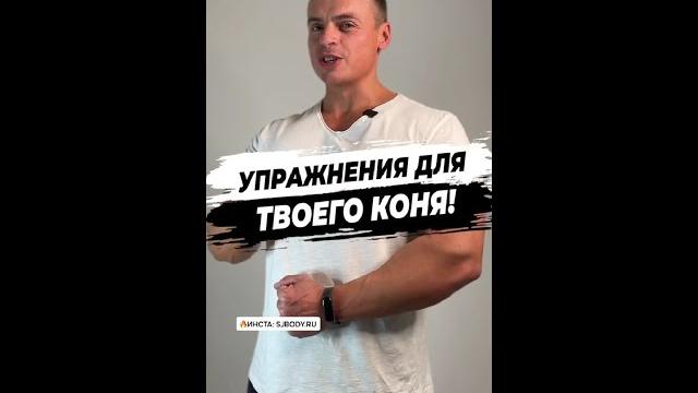 Упражнения для твоего коня! Упражнения для твоего коня!