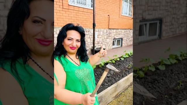 ДВОР АРУСИ КАВКАЗ! АРУСИН ОГОРОД! САЖАЮ С ЛЮБОВЬЮ! Ландшафтный дизайн. #арусякавказ #огород #сажаю️ ДВОР АРУСИ КАВКАЗ! АРУСИН ОГОРОД! САЖАЮ С ЛЮБОВЬЮ! Ландшафтный дизайн. #арусякавказ #огород #сажаю️