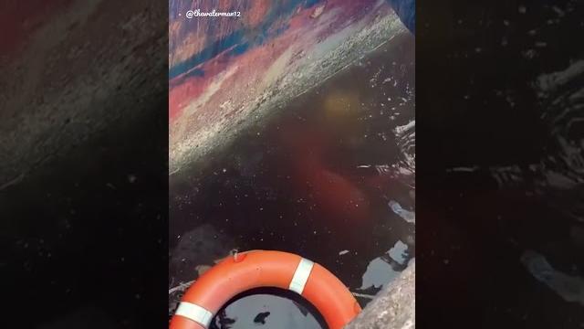 Underwater welding #shorts #yt #ytshorts #ytvideo #ytube #viral #video #fyp #trending #diving #uw Underwater welding #shorts #yt #ytshorts #ytvideo #ytube #viral #video #fyp #trending #diving #uw