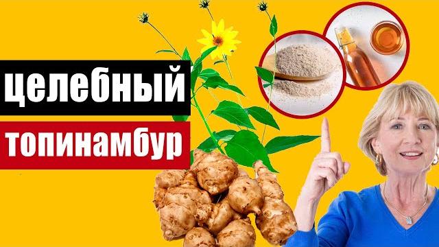Чем полезен топинамбур: выбираем и готовим правильно Чем полезен топинамбур: выбираем и готовим правильно
