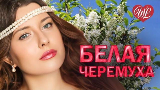 БЕЛАЯ ЧЕРЕМУХА ХИТЫ ШАНСОНА ДЛЯ ТАНЦПОЛА WLV ПЕСНЯ ЗАЖИГАЛКА RUSSISCHE MUSIK RUSSIAN MUSIC HIT БЕЛАЯ ЧЕРЕМУХА ХИТЫ ШАНСОНА ДЛЯ ТАНЦПОЛА WLV ПЕСНЯ ЗАЖИГАЛКА RUSSISCHE MUSIK RUSSIAN MUSIC HIT