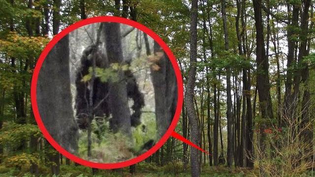 5 САМЫХ ДОСТОВЕРНЫХ ВИДЕО С ЙЕТИ (СНЕЖНЫЙ ЧЕЛОВЕК) 5 САМЫХ ДОСТОВЕРНЫХ ВИДЕО С ЙЕТИ (СНЕЖНЫЙ ЧЕЛОВЕК)