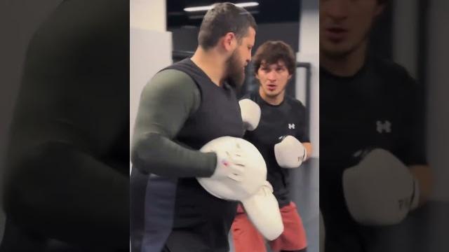 Алджамейн Стерлинг выразил недовольство тем что Мовсару Евлоеву до сих пор не дали титульный бой Алджамейн Стерлинг выразил недовольство тем что Мовсару Евлоеву до сих пор не дали титульный бой