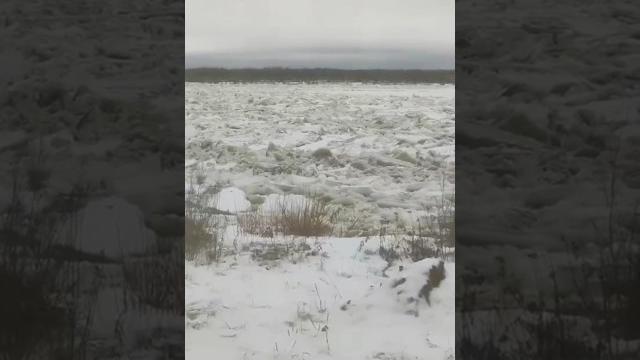 Ледяная бездна. Ледоход в Архангельске, Березник Ледяная бездна. Ледоход в Архангельске, Березник
