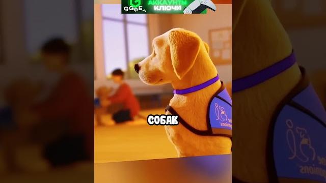 Щенок помог Девушке ️ #shorts #фильмы Щенок помог Девушке ️ #shorts #фильмы