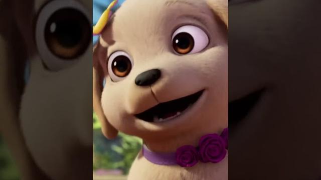 Puppies In Paradise!! | Barbie Shorts ️ Puppies In Paradise!! | Barbie Shorts ️