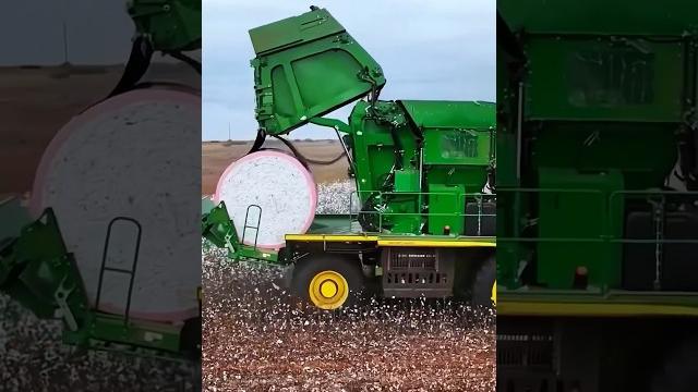 Harvesting cotton process - Good tools and machines make work easier Harvesting cotton process - Good tools and machines make work easier