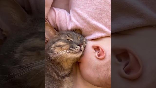 Дети и животные #смешныевидео #лучшиеприколы #moments #momlife #lifestyle #животные #кошки Дети и животные #смешныевидео #лучшиеприколы #moments #momlife #lifestyle #животные #кошки